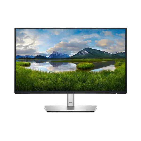 Dell P2422HE
